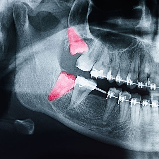 Curtis Orthodontics -